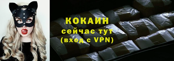 соль ск Касимов