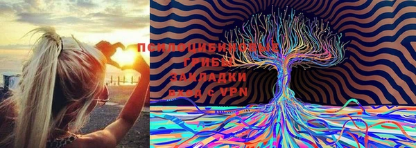 соль ск Касимов