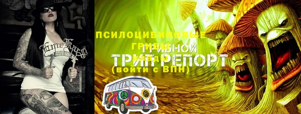 стафф Карталы