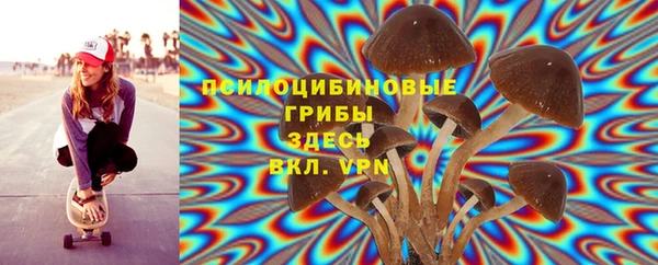 метадон Каменногорск